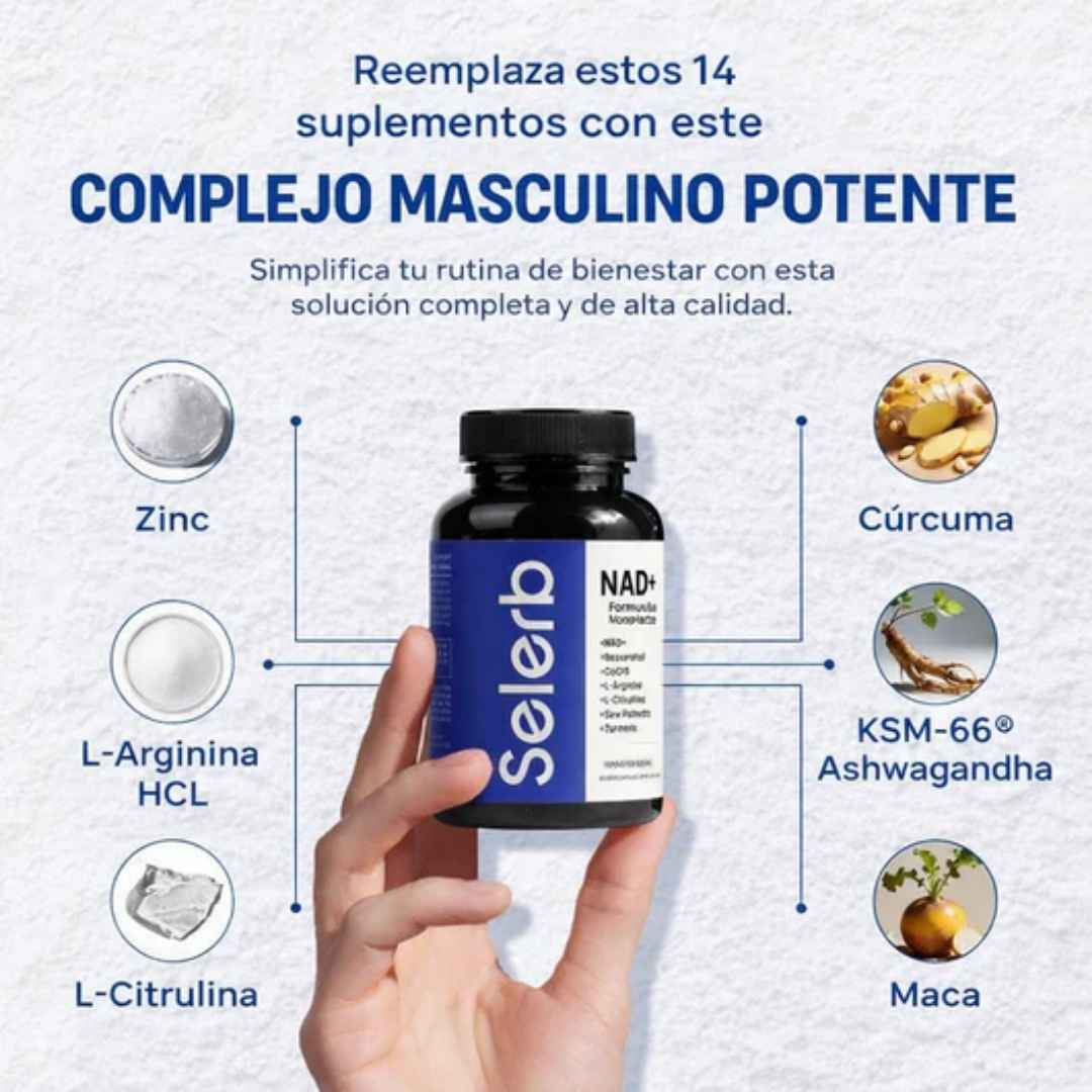 Encabezado