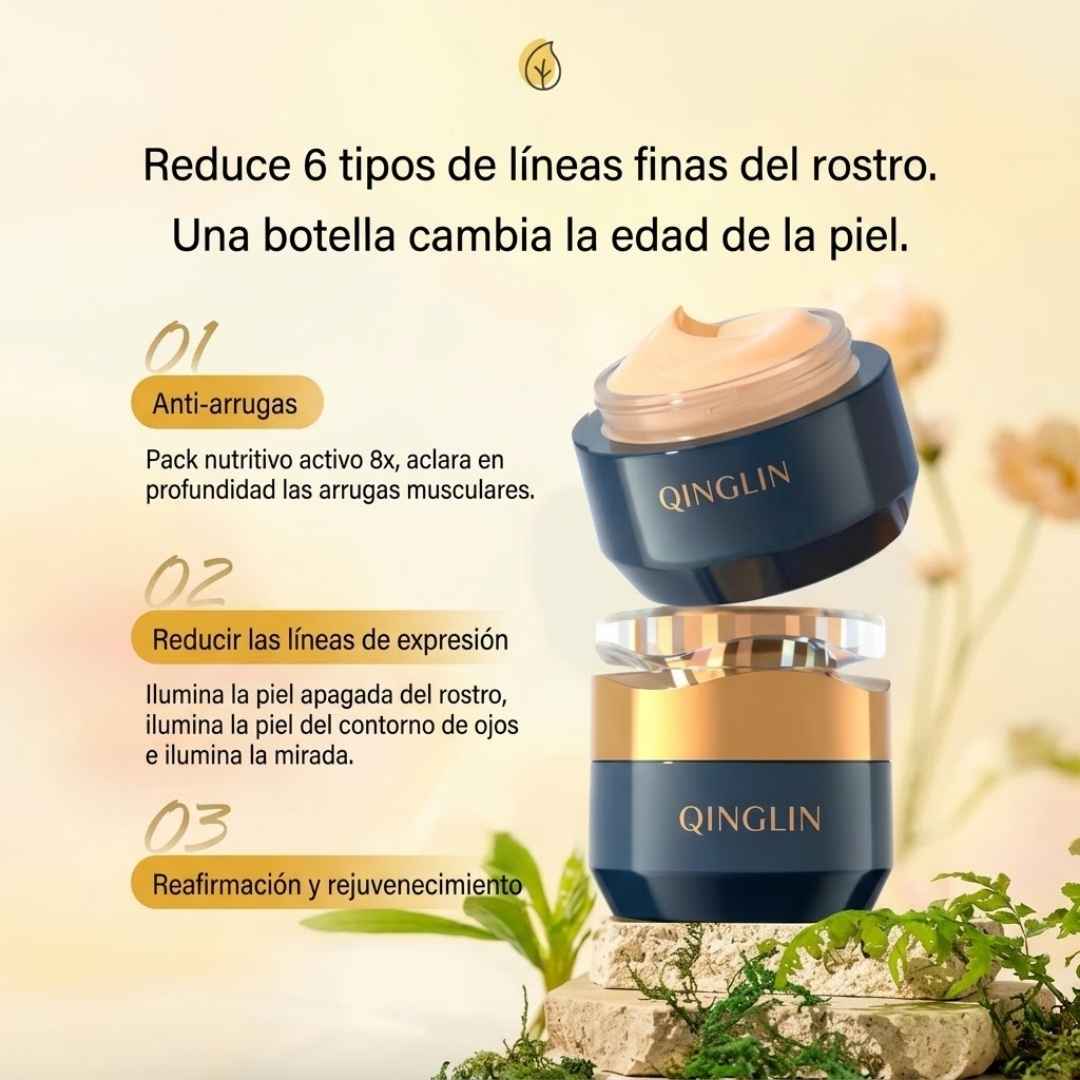 Encabezado