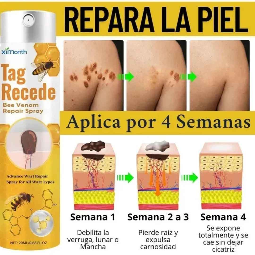 Encabezado