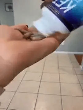 Encabezado