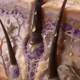 Encabezado