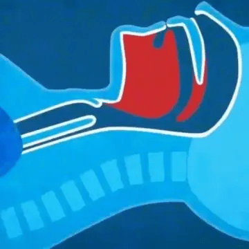 Encabezado