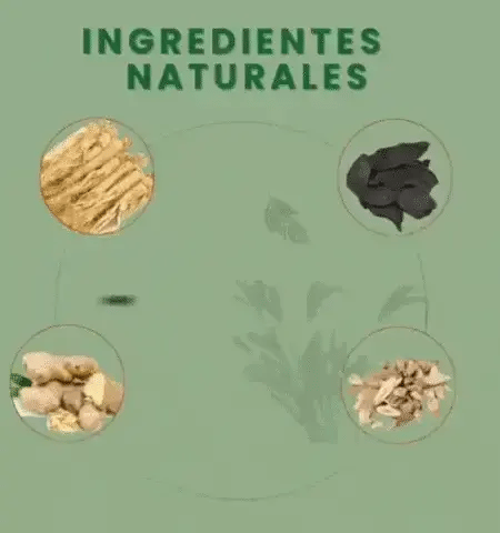 Encabezado