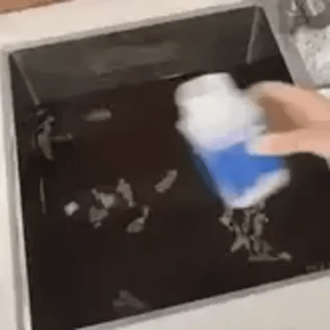 Encabezado