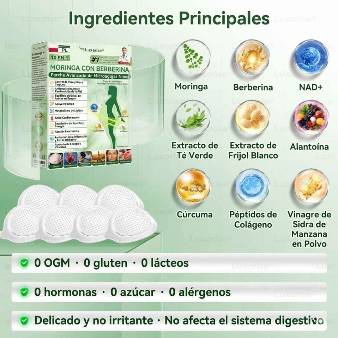 PARCHES AVANZADOS NATURALES JENGIBRE - MORINGA CON BERBERINA X 30