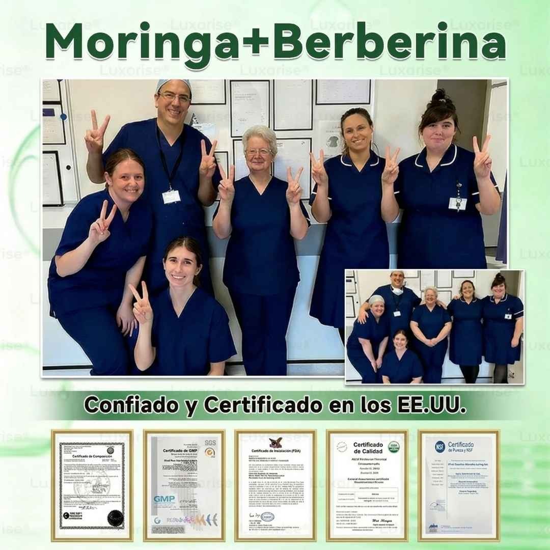 PARCHES AVANZADOS NATURALES JENGIBRE - MORINGA CON BERBERINA X 30