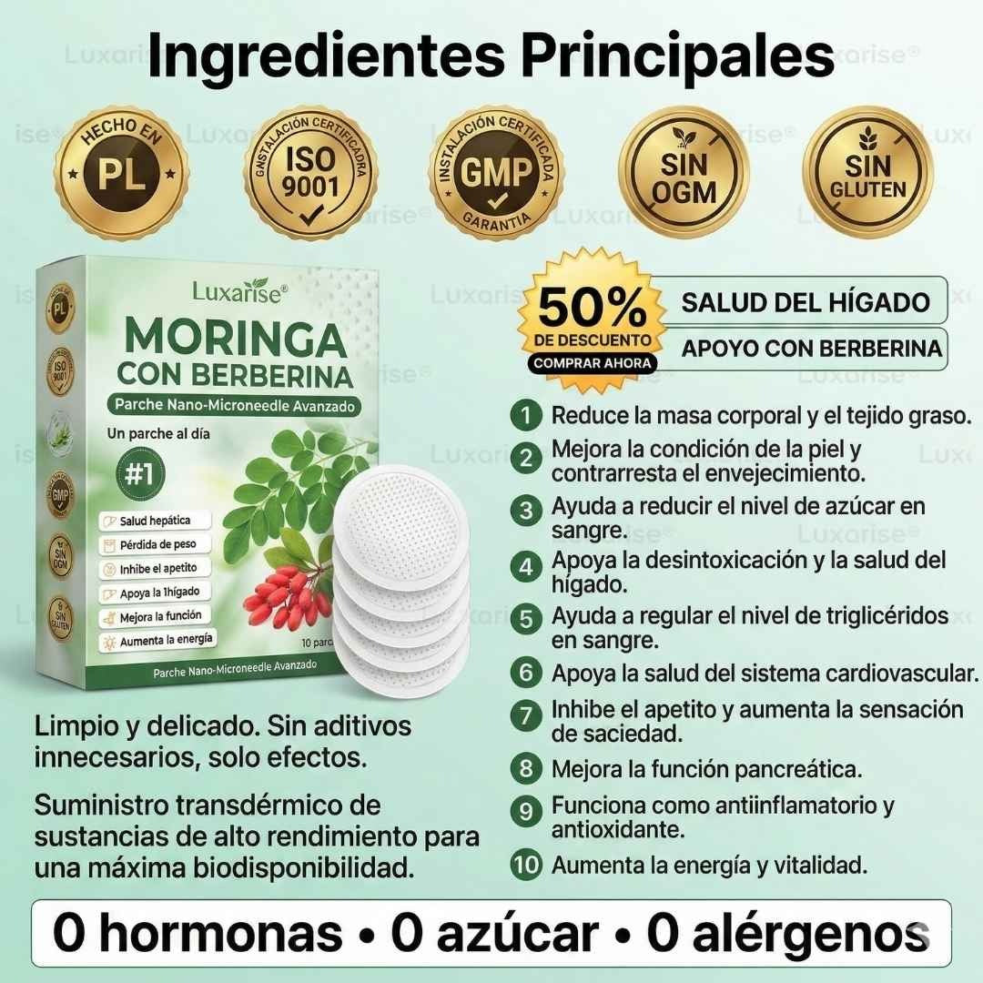 PARCHES AVANZADOS NATURALES JENGIBRE - MORINGA CON BERBERINA X 30