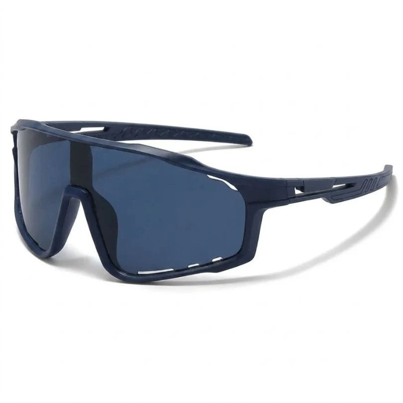 Gafas Fotocromaticas Rockbros Sp216