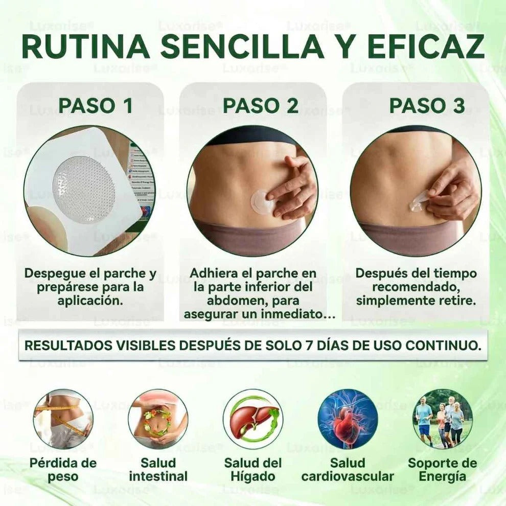 PARCHES AVANZADOS NATURALES JENGIBRE - MORINGA CON BERBERINA X 30