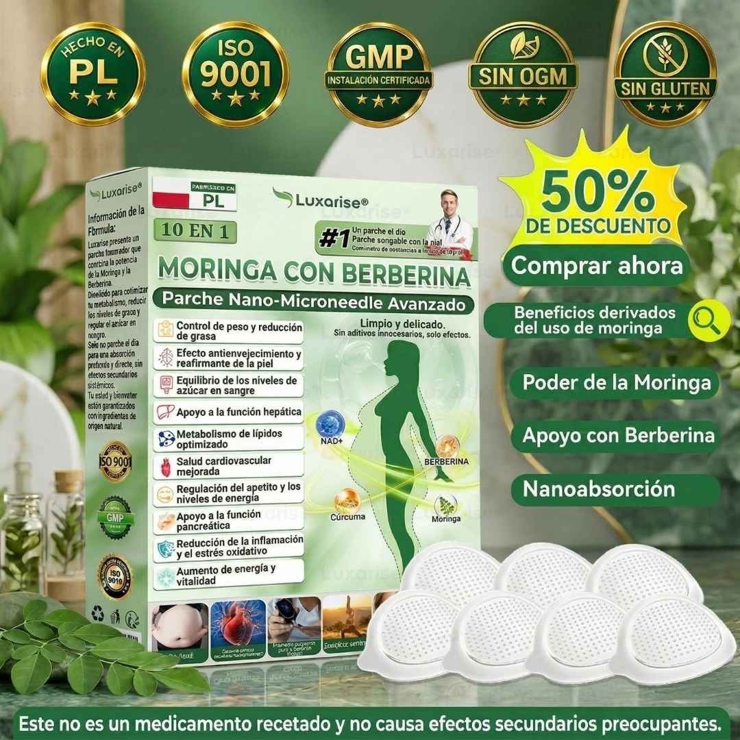 PARCHES AVANZADOS NATURALES JENGIBRE - MORINGA CON BERBERINA X 30
