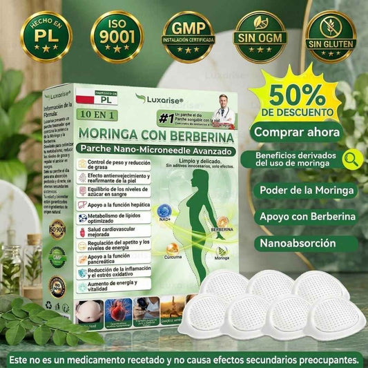 PARCHES AVANZADOS NATURALES JENGIBRE - MORINGA CON BERBERINA X 30