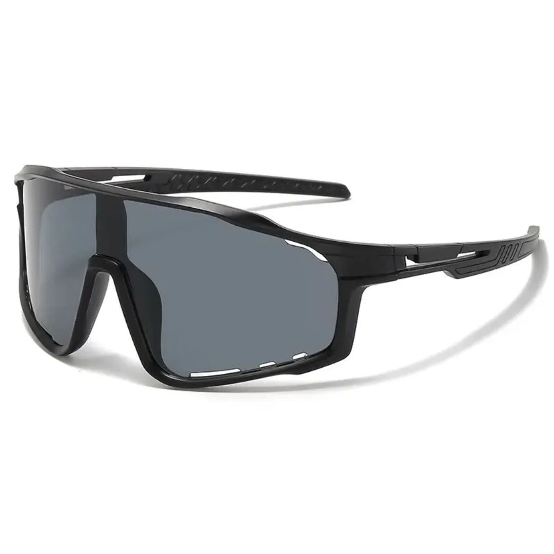 Gafas Fotocromaticas Rockbros Sp216