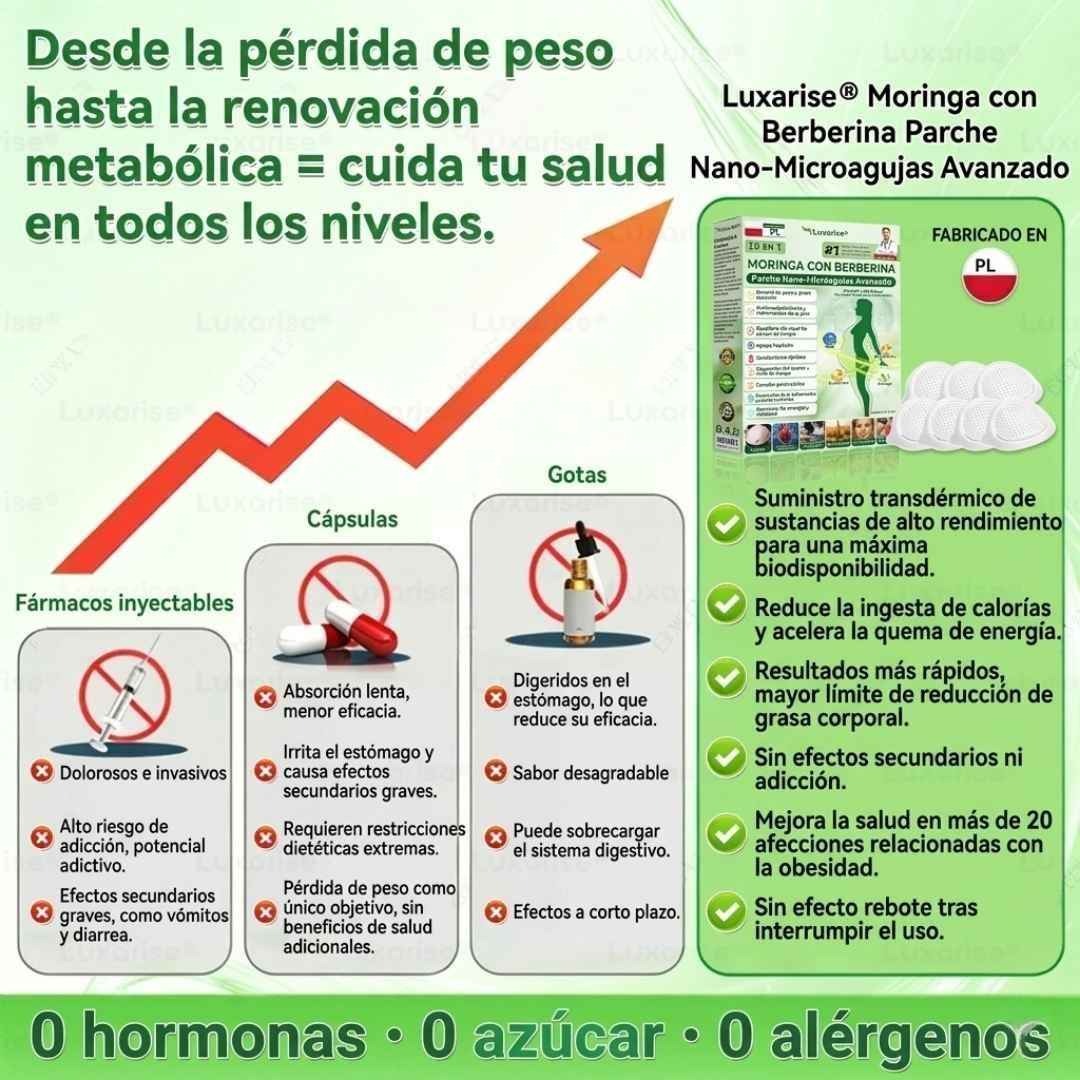 PARCHES AVANZADOS NATURALES JENGIBRE - MORINGA CON BERBERINA X 30
