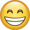 Ícono