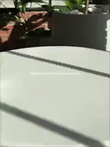 Encabezado