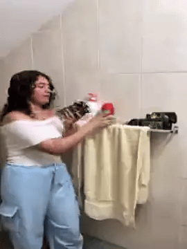 Encabezado